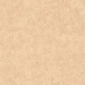 Beton Uni Beton 2 Wallpaper By Caselio