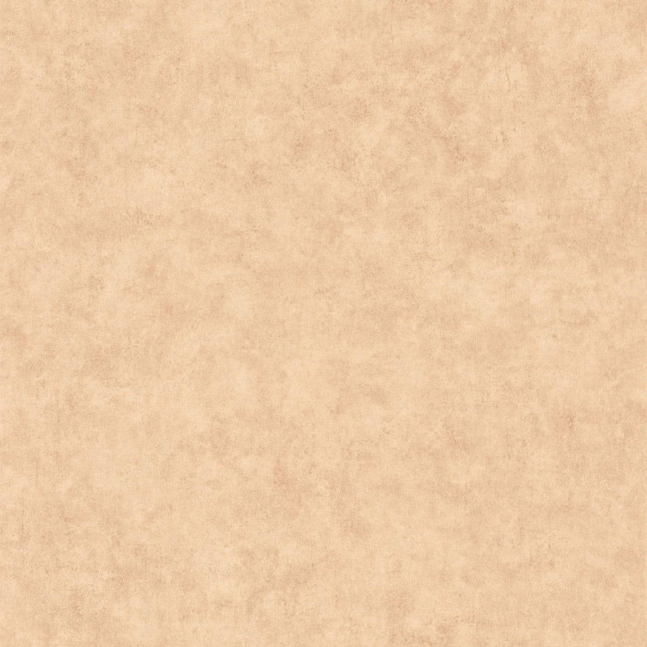 BTO101482446 Beton Uni Beton 2 Wallpaper By Caselio