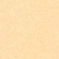 Beton Uni Beton 2 Wallpaper By Caselio