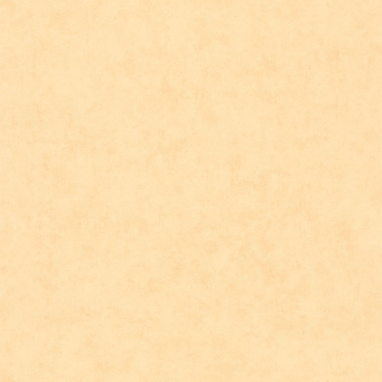 BTO101483100 Beton Uni Beton 2 Wallpaper By Caselio