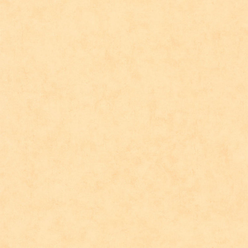 BTO101483100 Beton Uni Beton 2 Wallpaper By Caselio