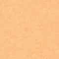 Beton Uni Beton 2 Wallpaper By Caselio