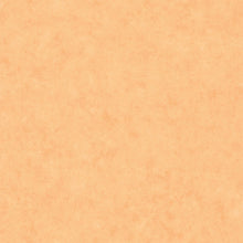 BTO101483250 Beton Uni Beton 2 Wallpaper By Caselio