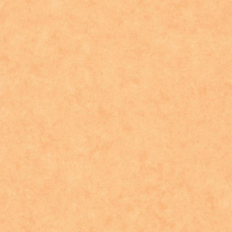 BTO101483250 Beton Uni Beton 2 Wallpaper By Caselio