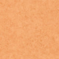 Beton Uni Beton 2 Wallpaper By Caselio
