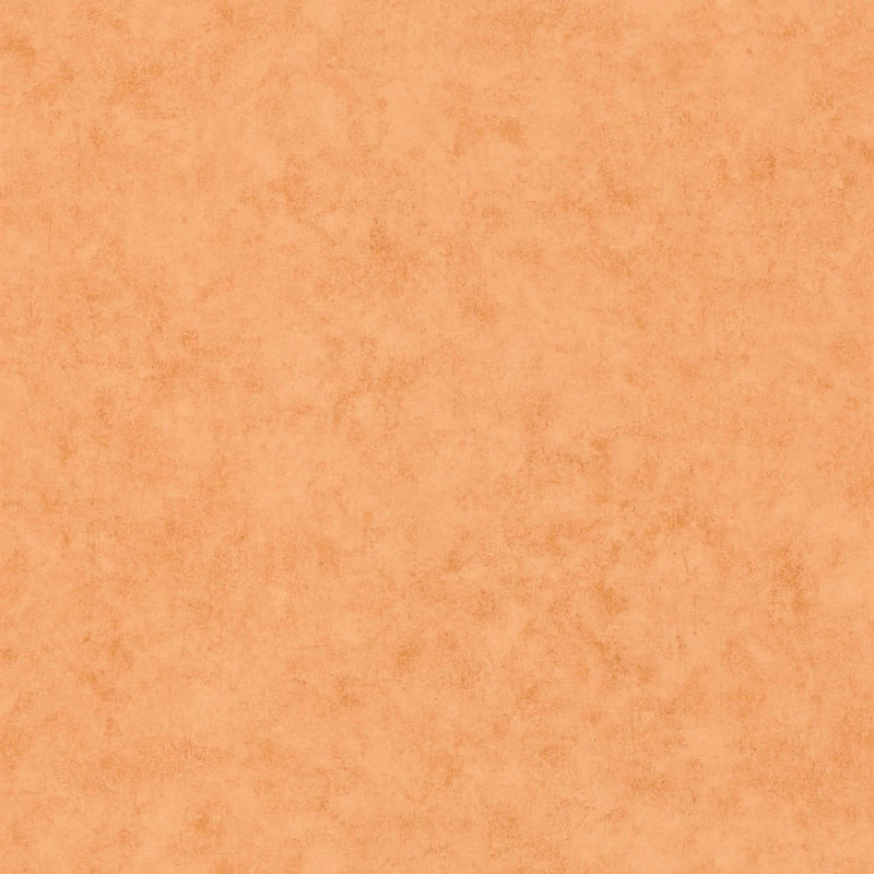 BTO101483312 Beton Uni Beton 2 Wallpaper By Caselio