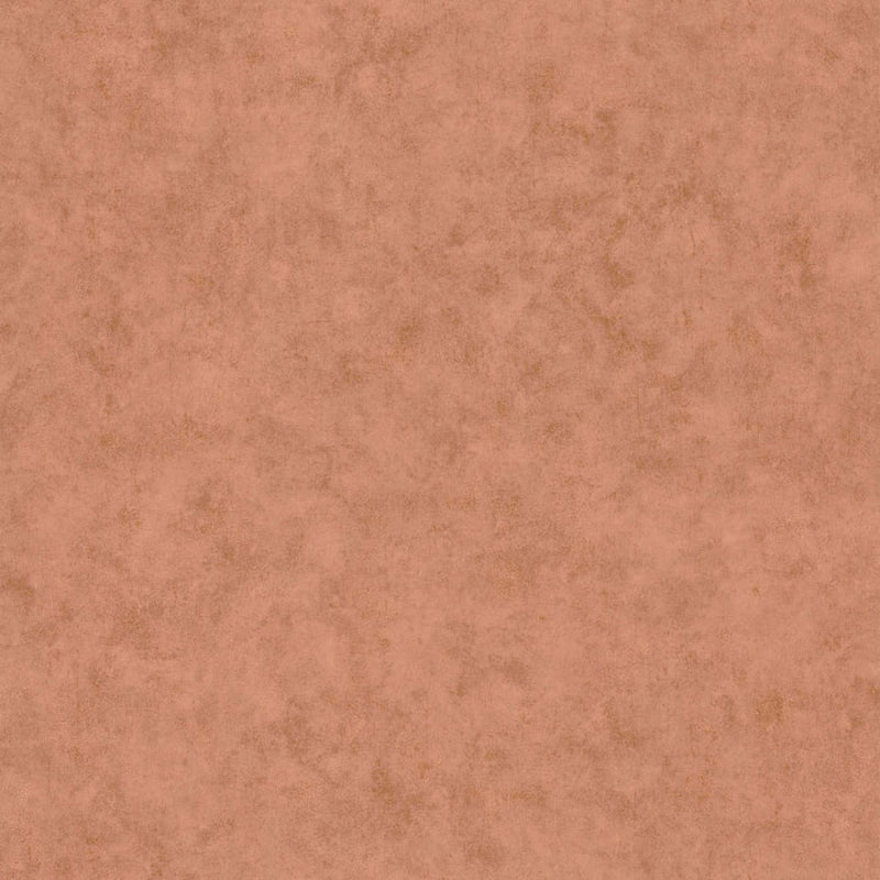 BTO101483522 Beton Uni Beton 2 Wallpaper By Caselio