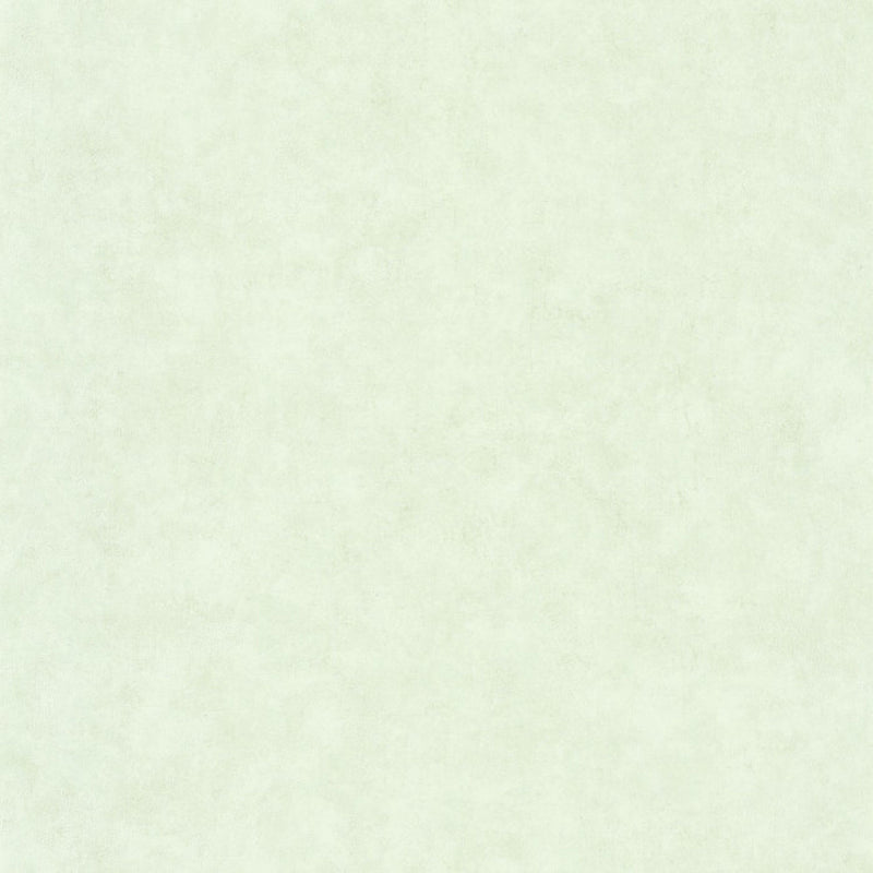 BTO101487042 Beton Uni Beton 2 Wallpaper By Caselio