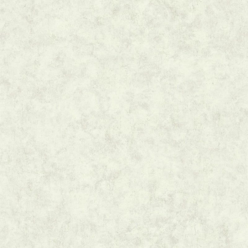 BTO101487140 Beton Uni Beton 2 Wallpaper By Caselio