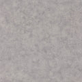 Beton Uni Beton 2 Wallpaper By Caselio