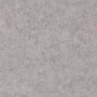 BTO101489550 Beton Uni Beton 2 Wallpaper By Caselio