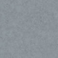 Beton Uni Beton 2 Wallpaper By Caselio