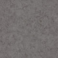 Beton Uni Beton 2 Wallpaper By Caselio
