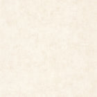 BTO101491019 Beton Uni Beton 2 Wallpaper By Caselio