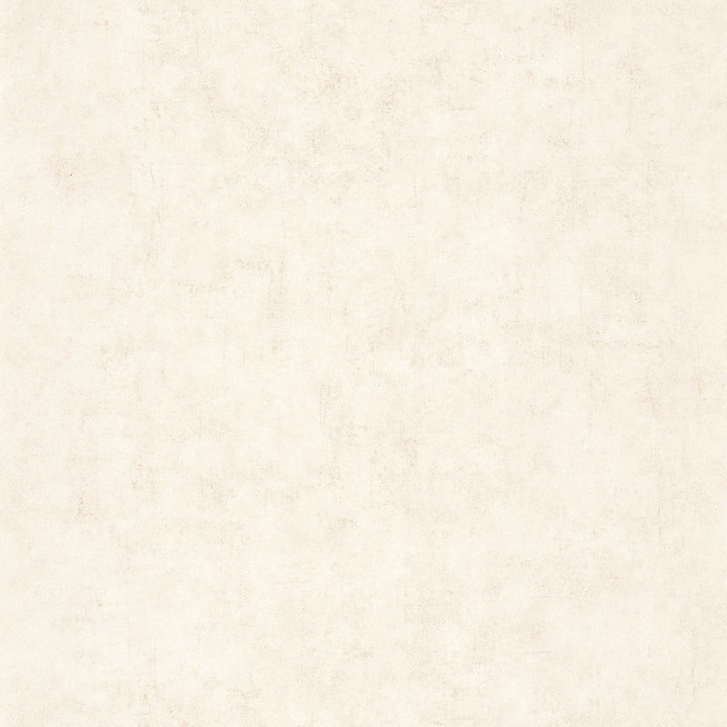 BTO101491019 Beton Uni Beton 2 Wallpaper By Caselio