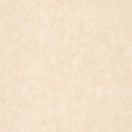 Beton Uni Beton 2 Wallpaper By Caselio