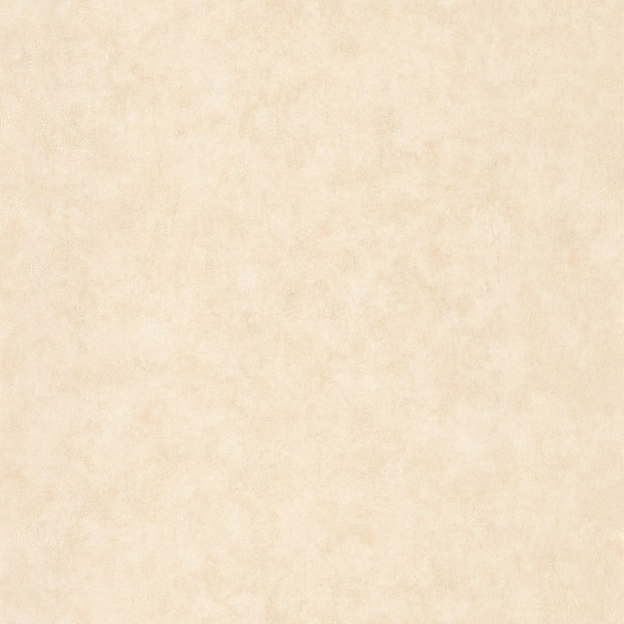 BTO101491460 Beton Uni Beton 2 Wallpaper By Caselio