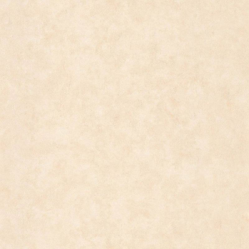 BTO101491460 Beton Uni Beton 2 Wallpaper By Caselio