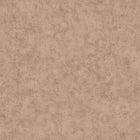 BTO101493230 Beton Uni Beton 2 Wallpaper By Caselio