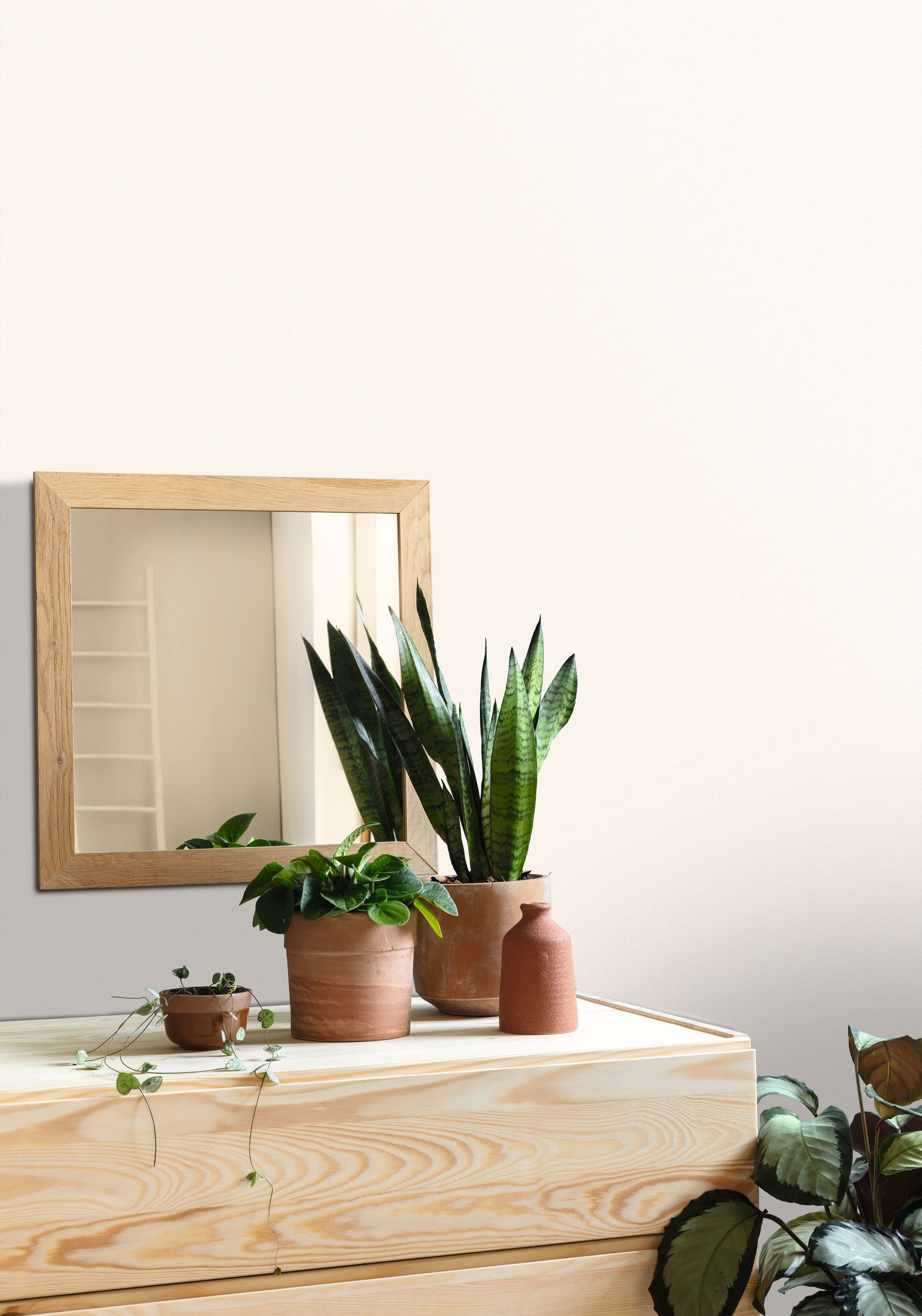 101561210 Uni Mat Beige Sable Wallpaper by Caselio