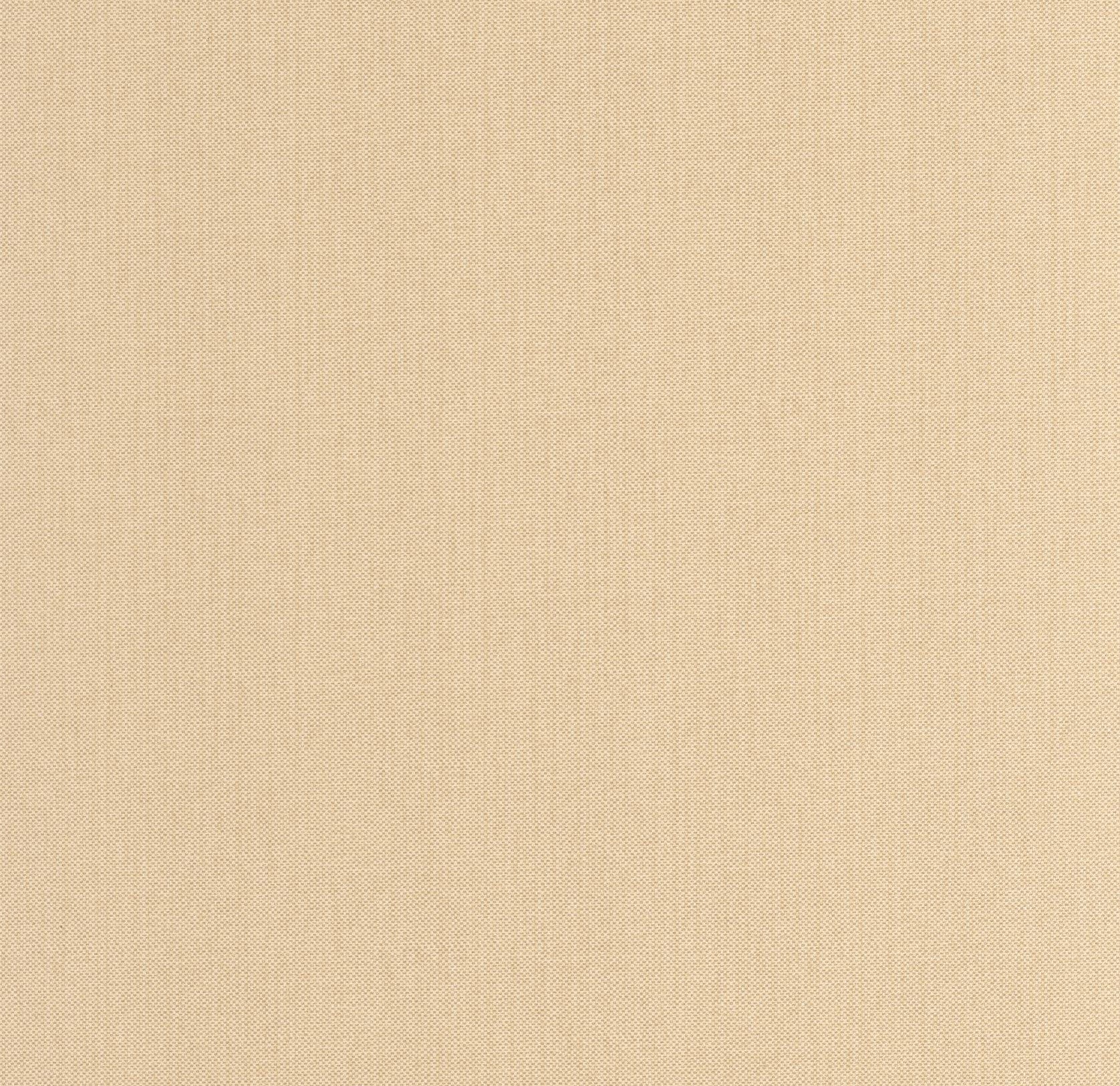 101561515 Uni Mat Avoine Wallpaper by Caselio
