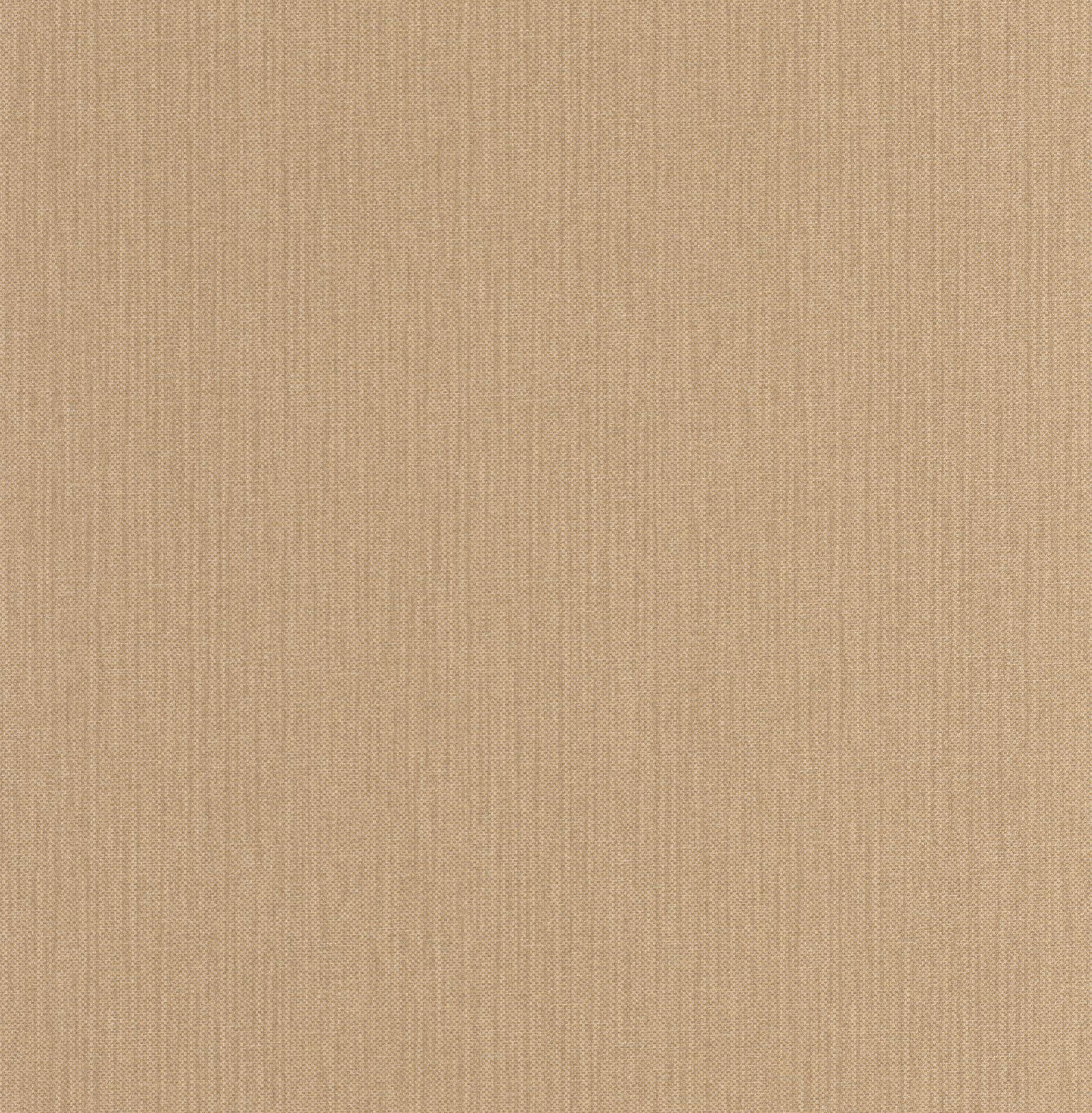 101561670 Uni Mat Latte Wallpaper by Caselio