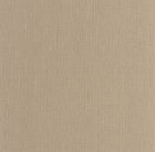 101561856 Uni Mat Biscuit Wallpaper by Caselio