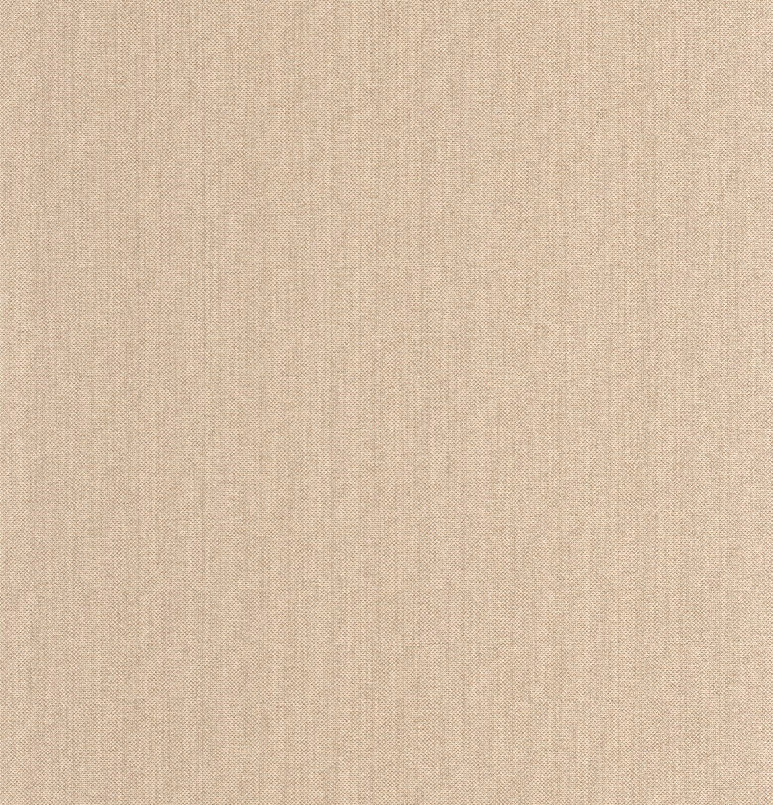 101561942 Uni Mat Beige Nude Wallpaper by Caselio