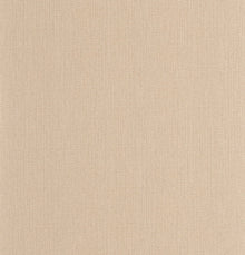 101561942 Uni Mat Beige Nude Wallpaper by Caselio