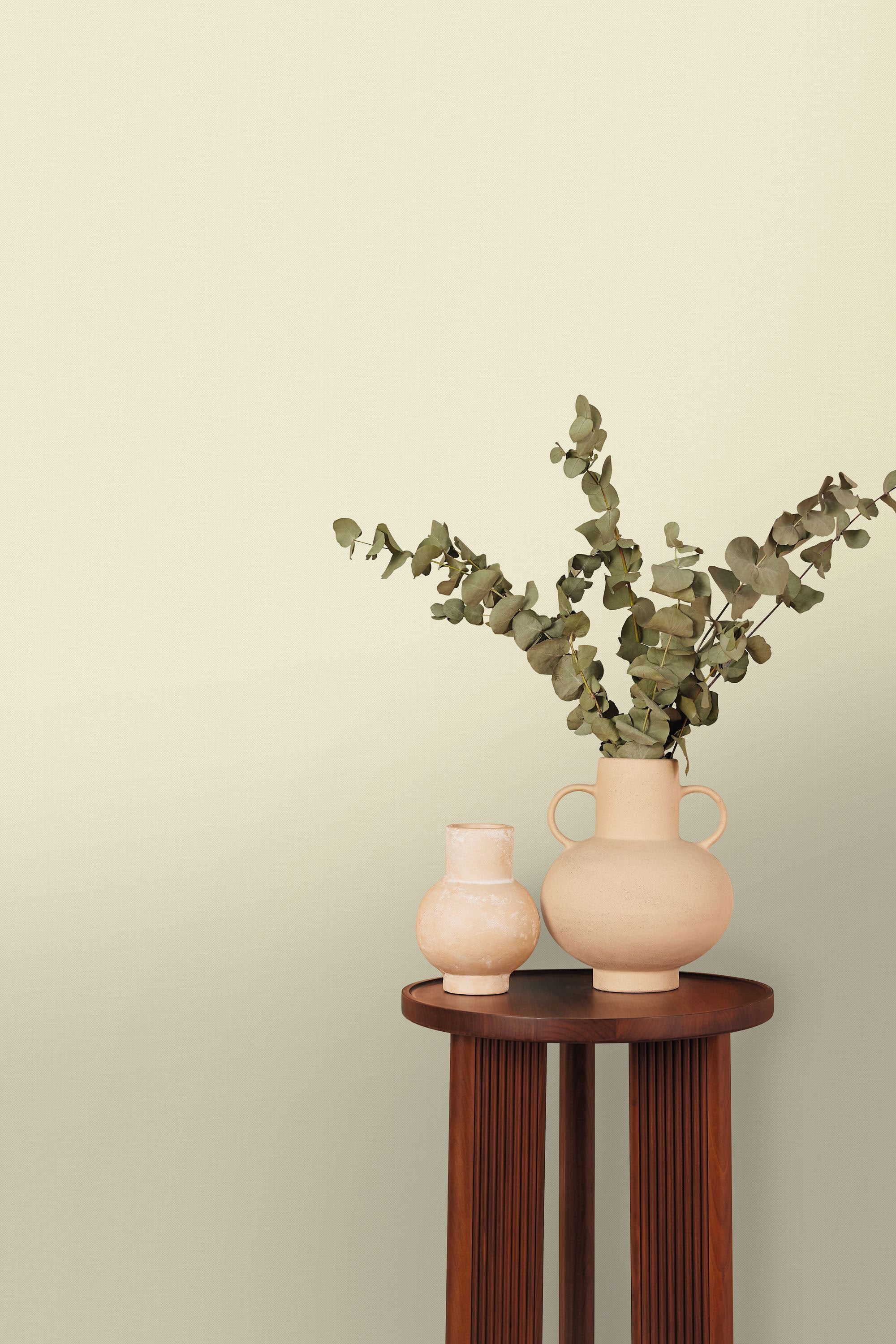 101567043 Uni Mat Vert D Eau Wallpaper by Caselio