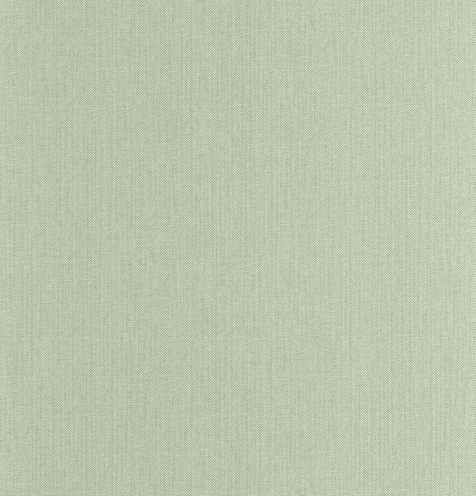 101567311 Uni Mat Vert Tilleul Wallpaper by Caselio