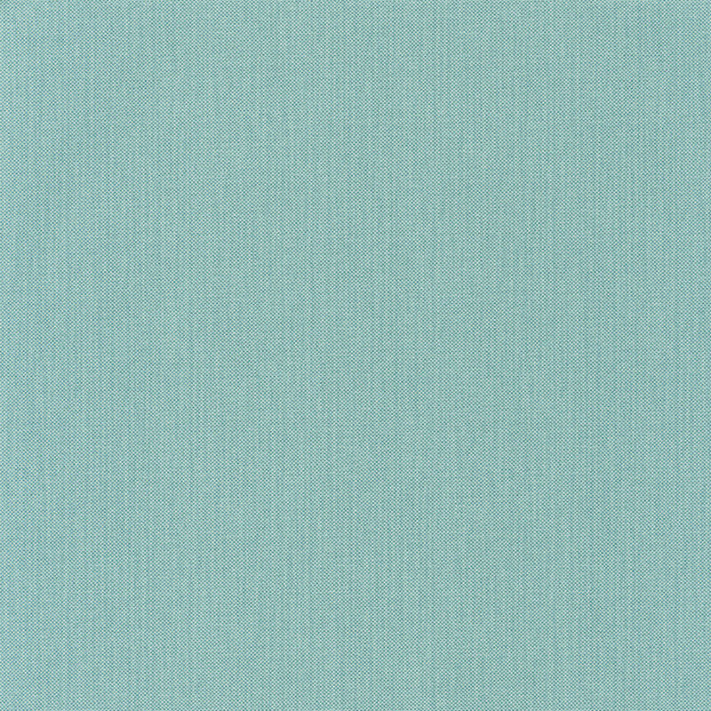 NAE101567353 Uni Natte Wallpaper by Caselio