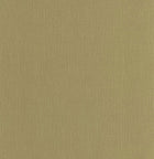 101567507 Uni Mat Vert Matcha Wallpaper by Caselio