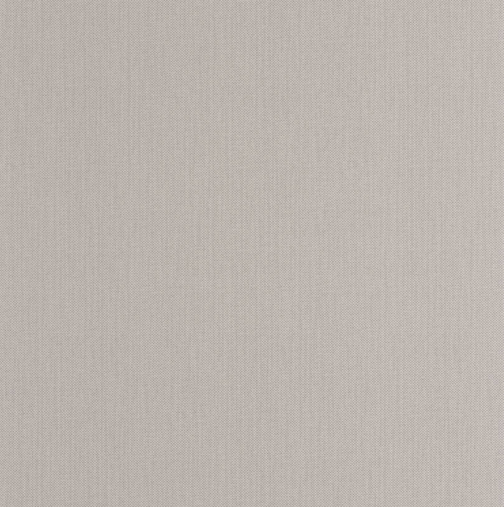 101569123 Uni Mat Gris Galet Wallpaper by Caselio