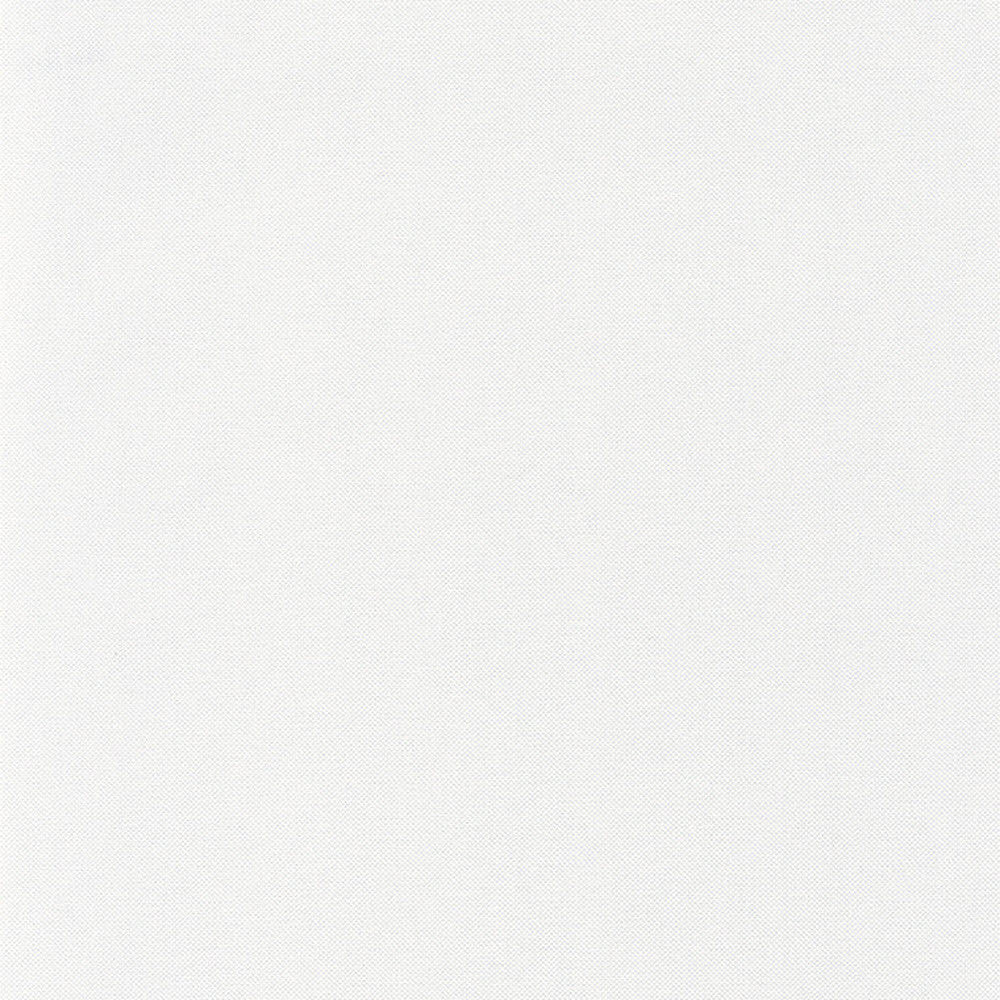 NAE101569233 Uni Natte Wallpaper by Caselio