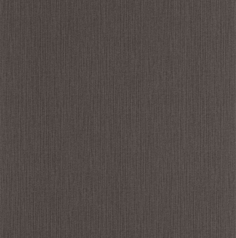 101569370 Uni Mat Reglisse Wallpaper by Caselio