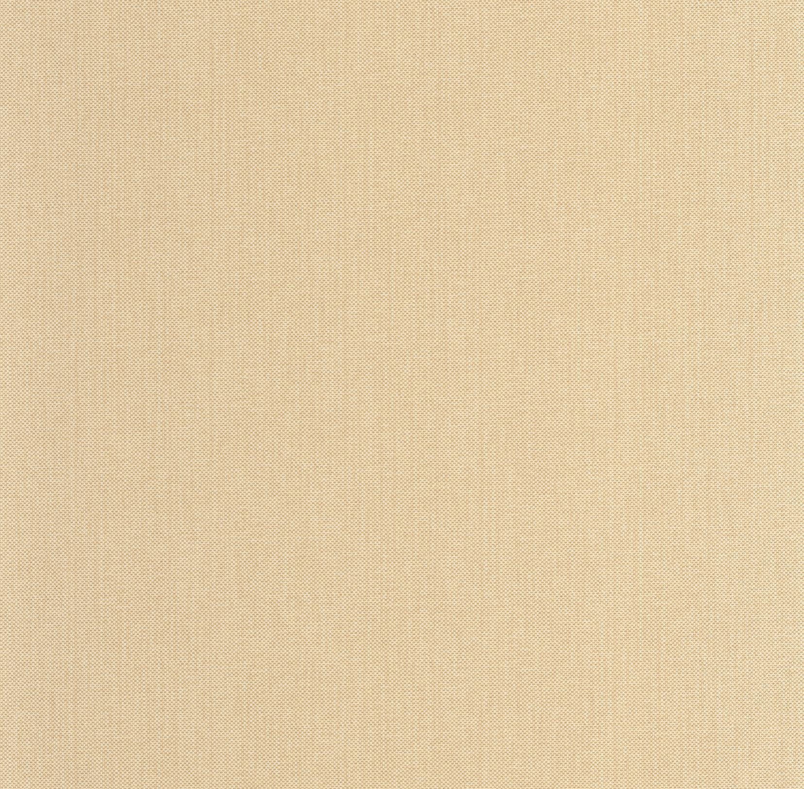 101571050 Uni Metallise Ivoire Dore Wallpaper by Caselio
