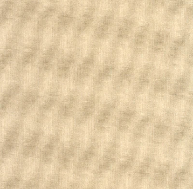 101571050 Uni Metallise Ivoire Dore Wallpaper by Caselio