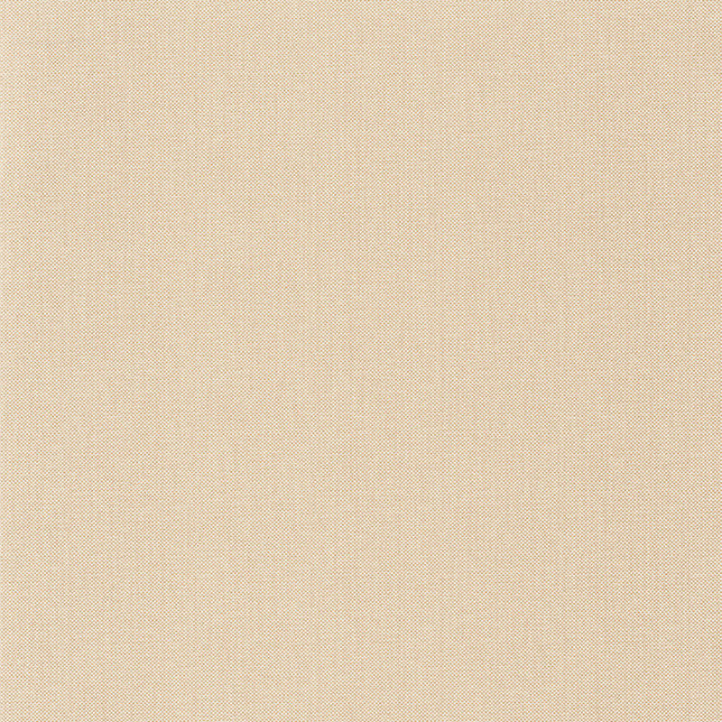 NAE101571106 Uni Metallise Natte Wallpaper by Caselio