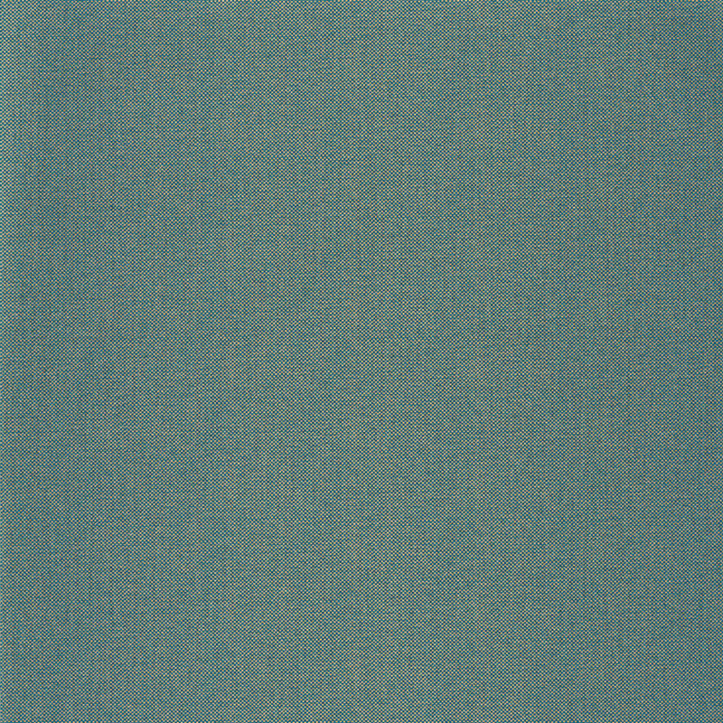 NAE101576620 Uni Metallise Natte Wallpaper by Caselio