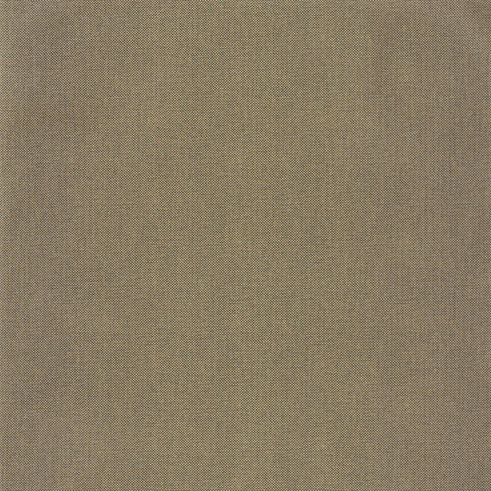 NAE101579120 Uni Metallise Natte Wallpaper by Caselio