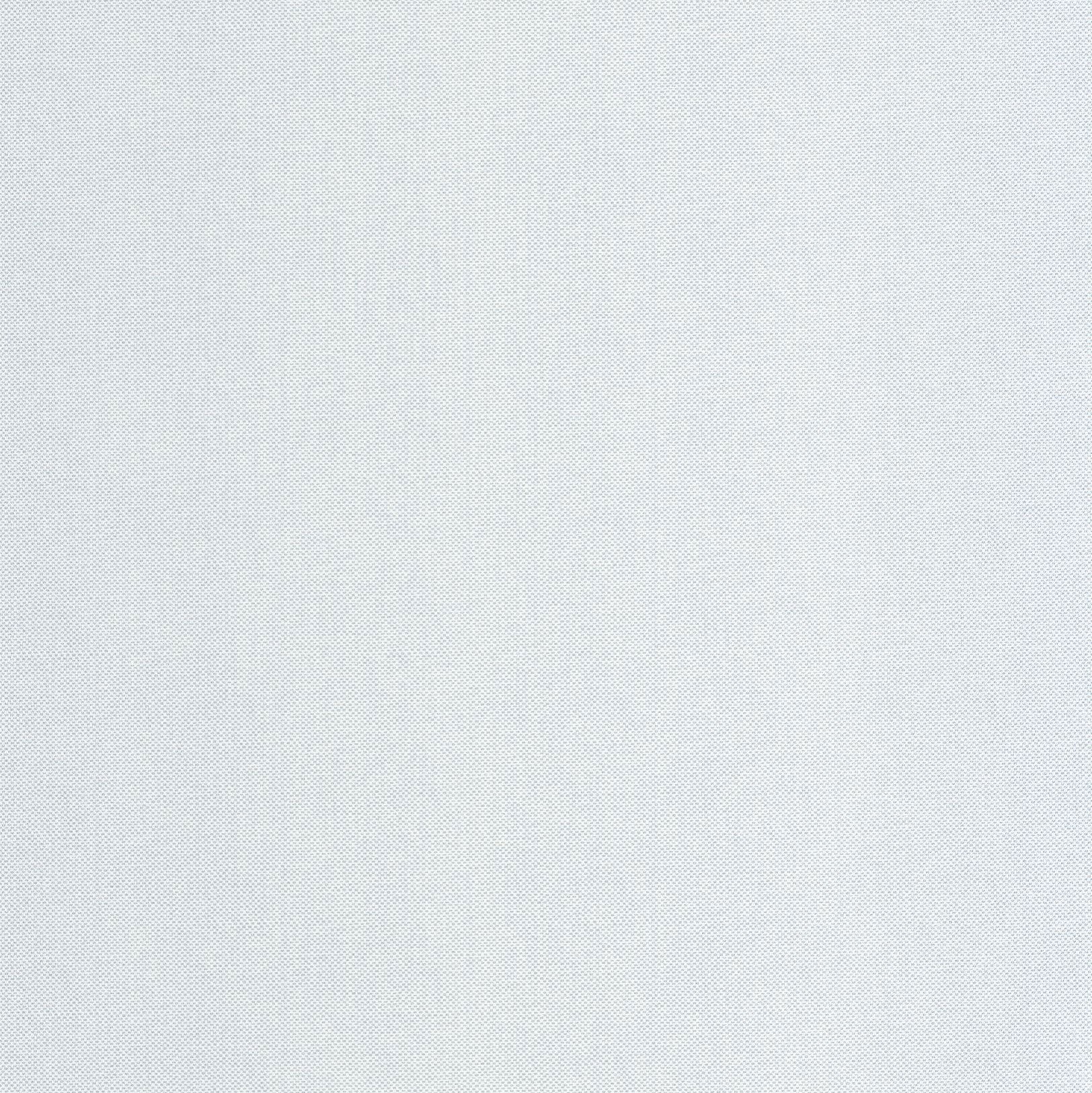 101579200 Uni Metallise Gris Perle Argente Wallpaper by Caselio