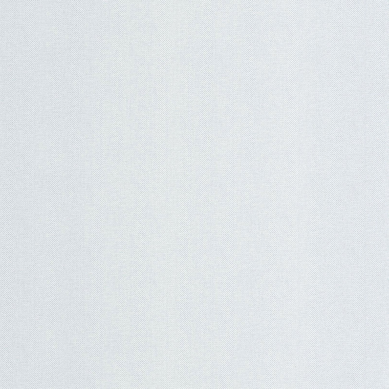 101579200 Uni Metallise Gris Perle Argente Wallpaper by Caselio