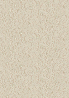 JMW-101611 Coral Edge Sand Wallpaper by Josephine Munsey
