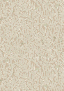 JMW-101611 Coral Edge Sand Wallpaper by Josephine Munsey