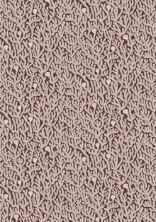 JMW-101621 Coral Spicer Brown Wallpaper by Josephine Munsey