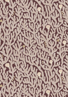 JMW-101621 Coral Spicer Brown Wallpaper by Josephine Munsey