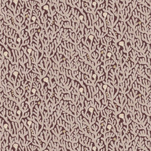 JMW-101621 Coral Spicer Brown Wallpaper by Josephine Munsey
