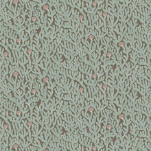 JMW-101631 Coral Osney Blue Wallpaper by Josephine Munsey