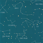 OUP101916003 ( 101916003 ) Constellations Our Planet Wallpaper by Caselio